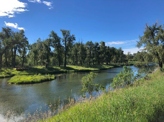 Inglewood Bird Sanctuary and Nature Centre